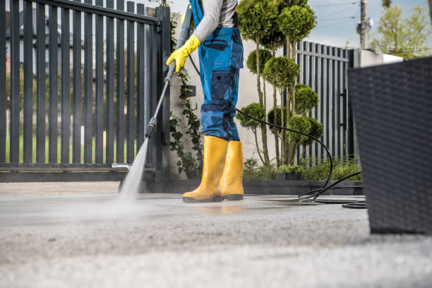 Best Concrete Sealing  in Spring Valley, MN