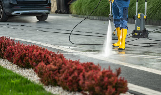 Best Patio and Deck Pressure Washing  in Spring Valley, MN